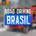 巴西公路驾驶中文版