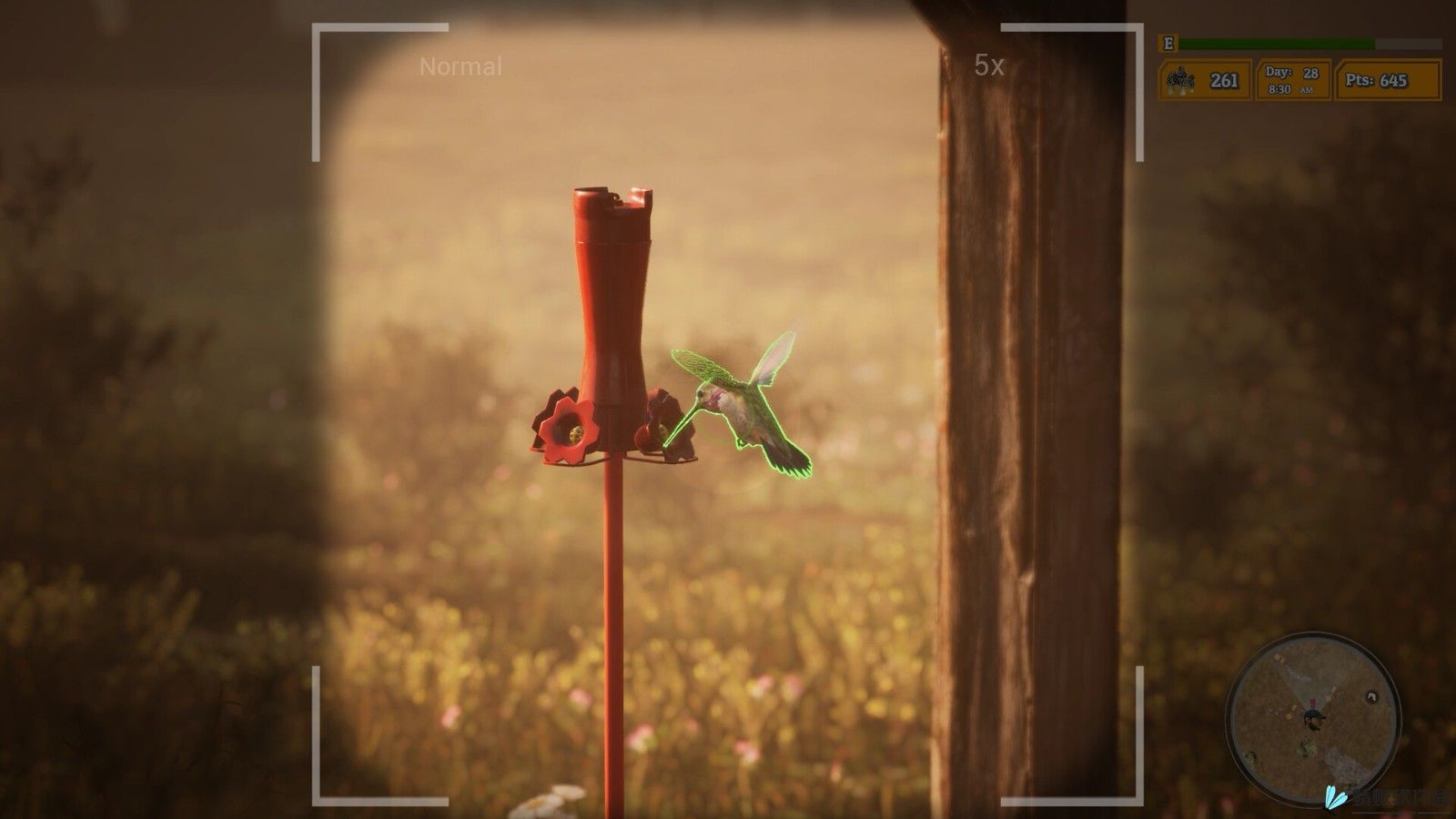 《羊肚菌：狩猎2》游戏性预告 现已正式推出_图片